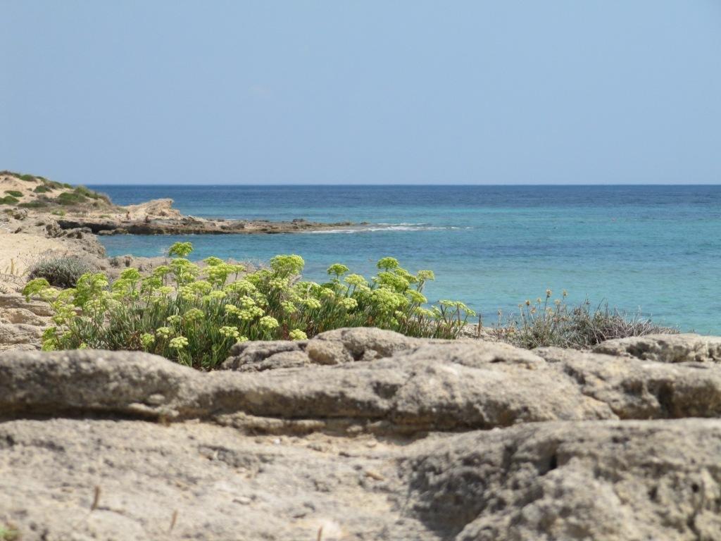 Hotel Costa D'Oro توريه أوفو المظهر الخارجي الصورة